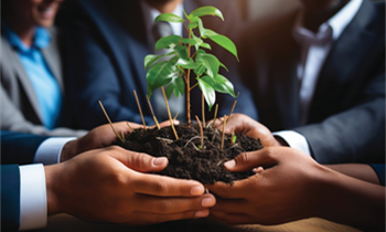 Reforestation – Good For The Planet, Good For Business